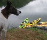 kayakclubvenezuela's Avatar