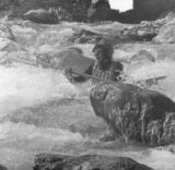 vincent_eauxvives's Avatar