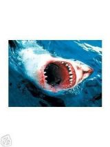 kloputzmann's Avatar