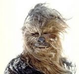 Wookie Kayak's Avatar