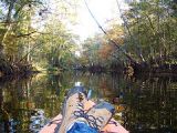 Florida Paddlers