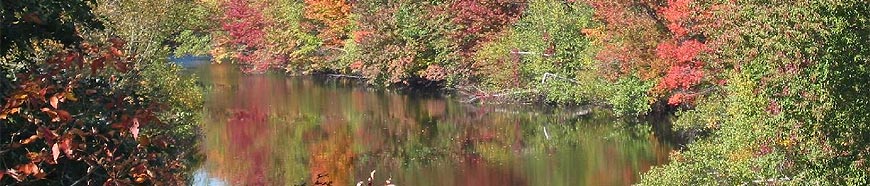 10th Annual Earth Day Charles River Cleanup   