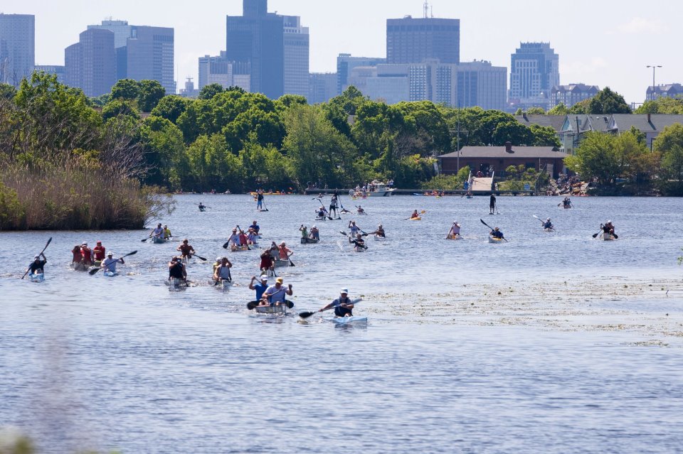 Mystic River Herring Run and Paddle 