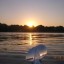 Evening on the lake