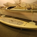 PaddleExpo 2012 – Zegul