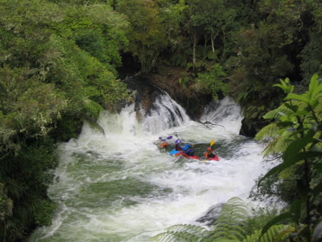 North Island, Rotorua area, river Kaituna, Kaituna bottom hole by froggy