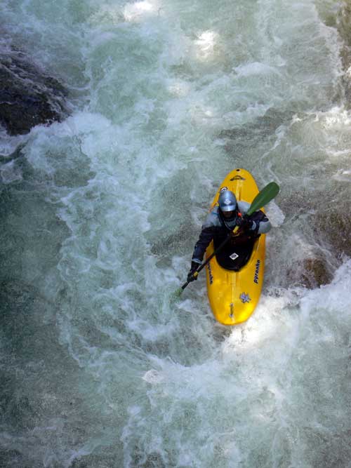 Independent Pyranha Ammo Review