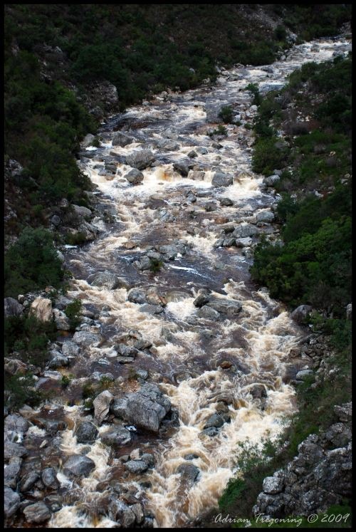 Molenaars_and_Wit_6_7_June_2009_092_E1 copy