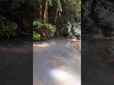 Cougal cascades track 2nd waterfalls #great swimming spot #waterfall #Springbrook National Park